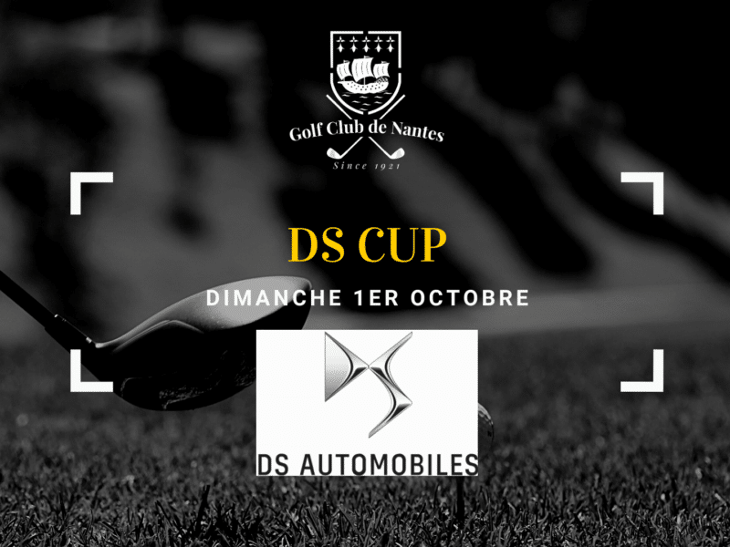 DS Cup
